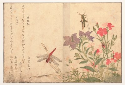 Libélula roja y langosta de arroz, 1788 de Kitagawa Utamaro